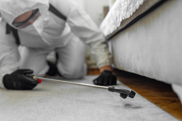 Professional Pest Control technician working in Shell Ridge, CA