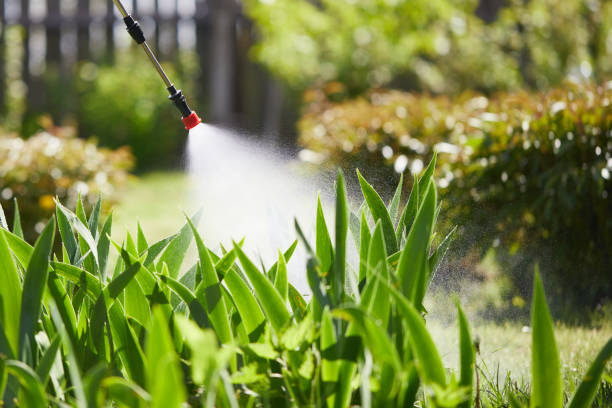 24/7 Emergency Pest Control experts in Shell Ridge, CA