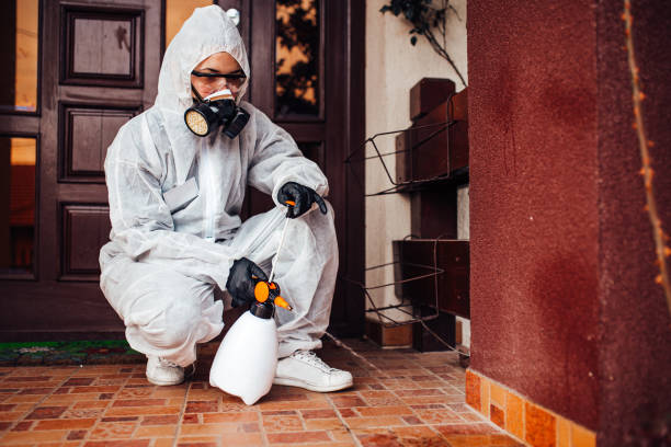 Reliable Pest Control contractor in Shell Ridge, CA by Nex Pest Control