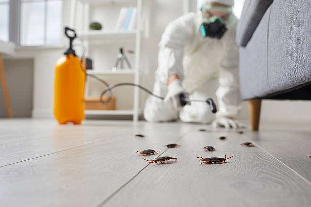 Affordable Pest Control solutions in Shell Ridge, CA