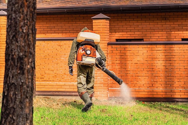 Top rated local Pest Control specialists in Shell Ridge, CA